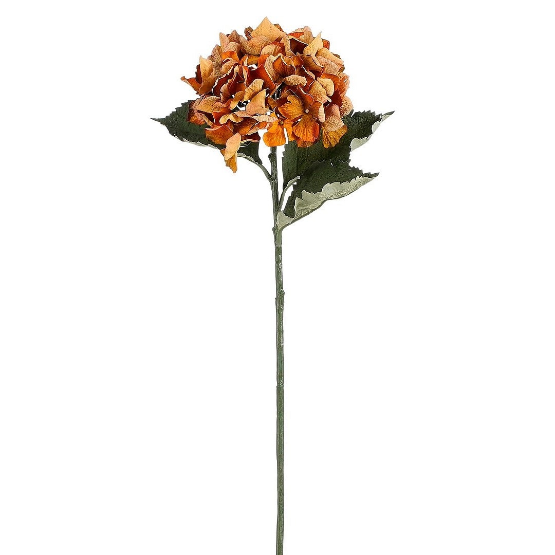 koristehortensia-61-cm-1
